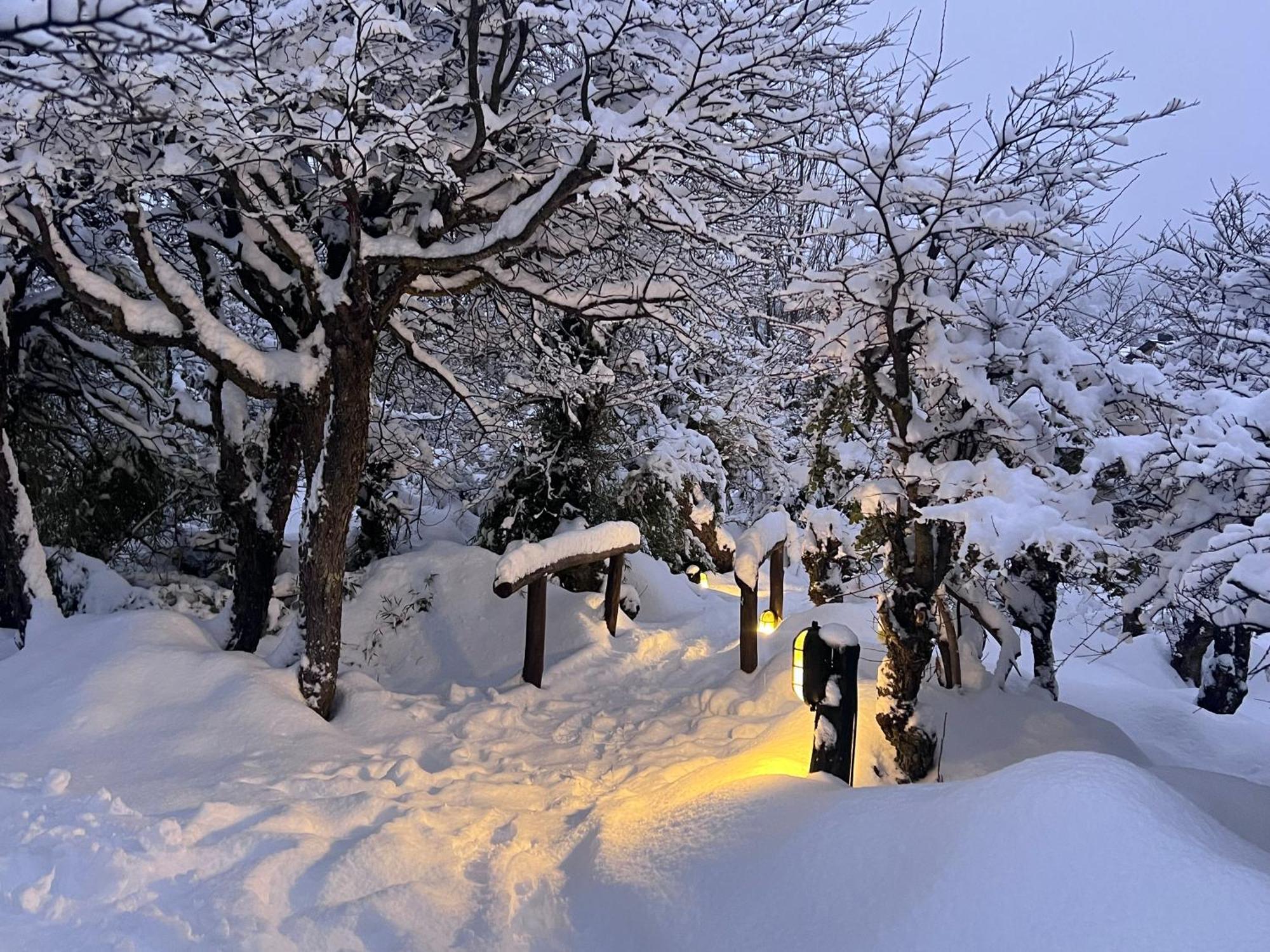Los Nires Lodge Cerro Catedral 산카를로스데바릴로체 외부 사진