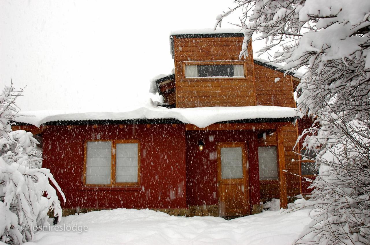 Los Nires Lodge Cerro Catedral 산카를로스데바릴로체 객실 사진