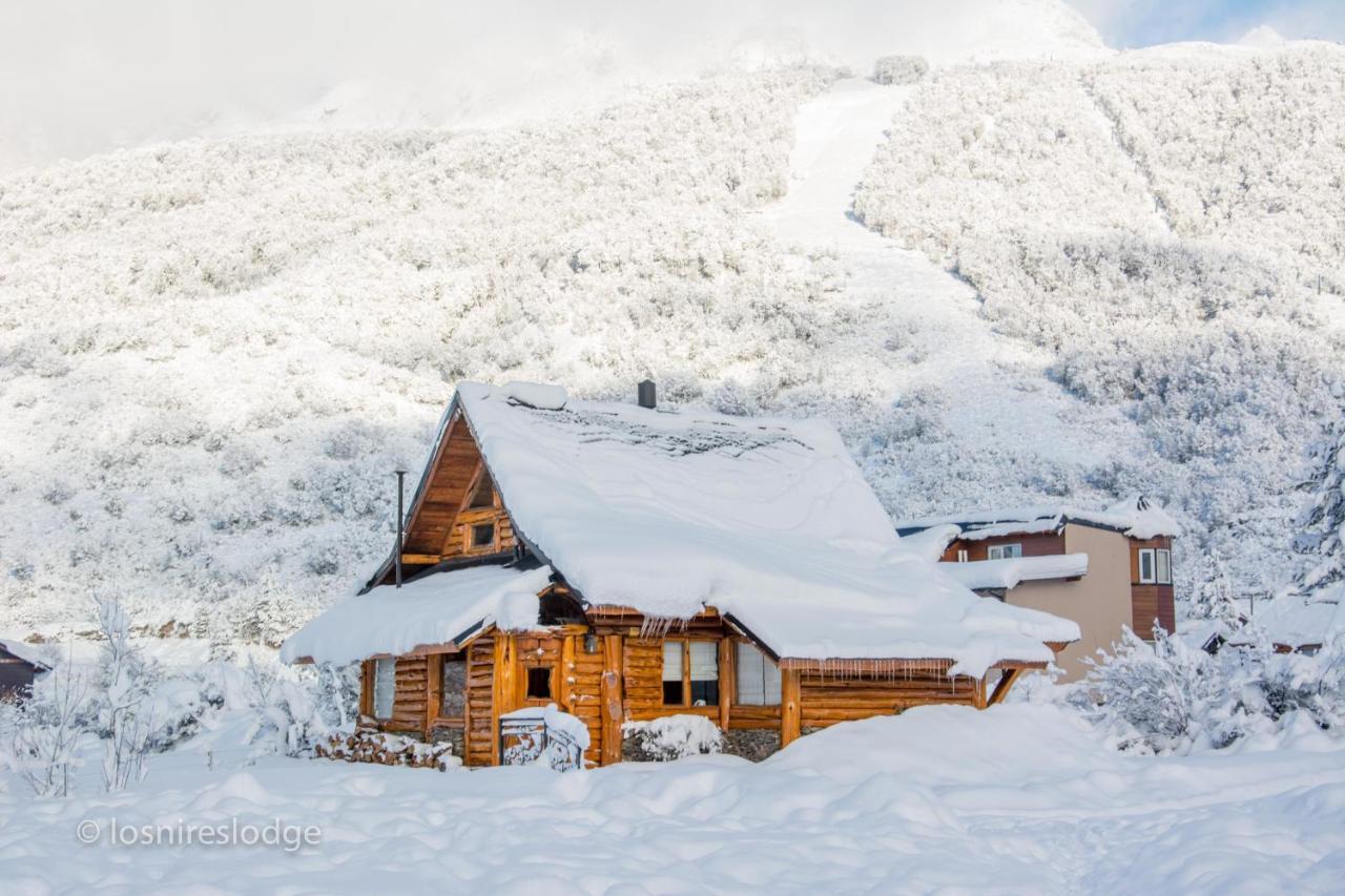 Los Nires Lodge Cerro Catedral 산카를로스데바릴로체 객실 사진